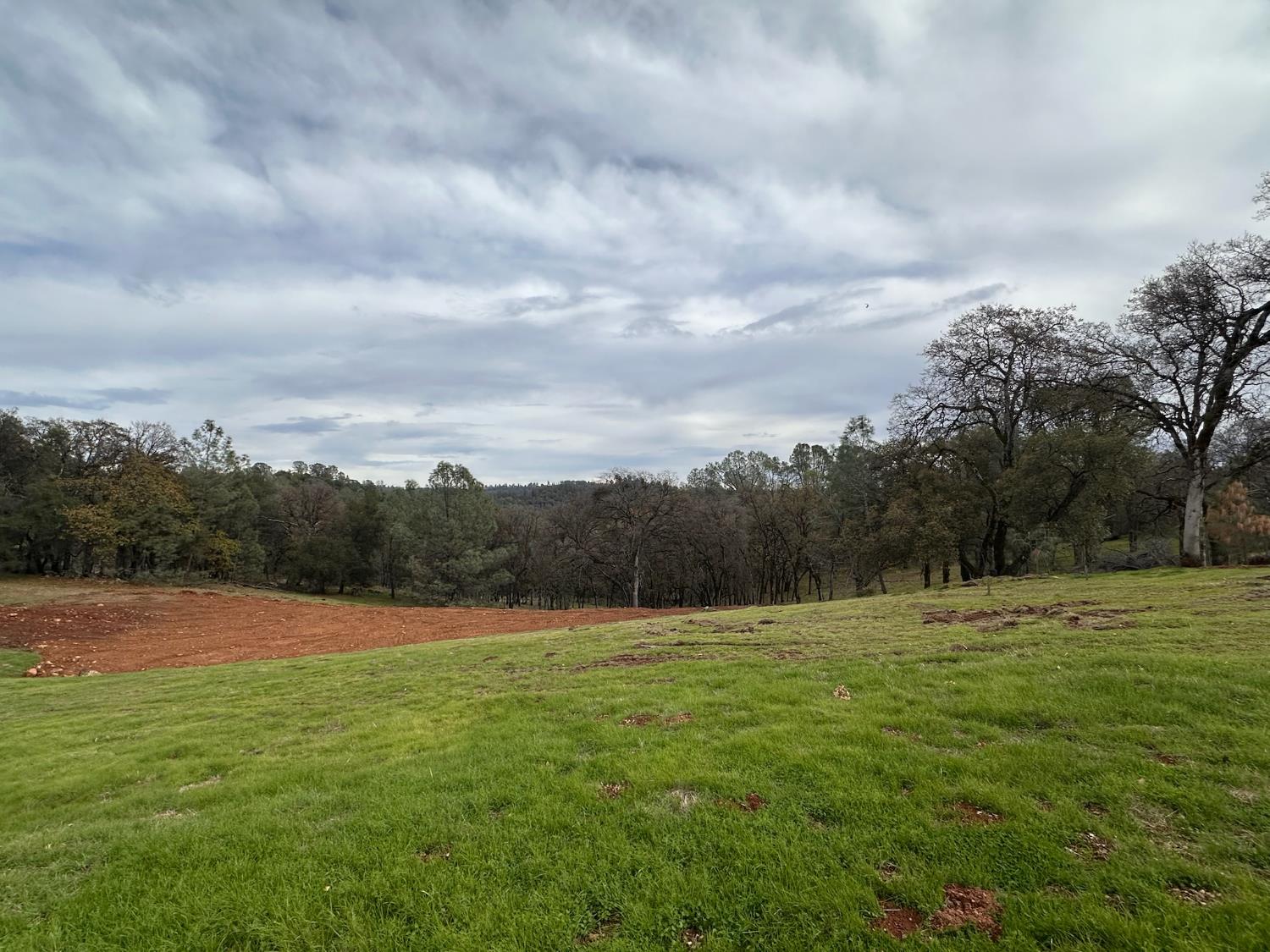 23003 DARKHORSE Drive