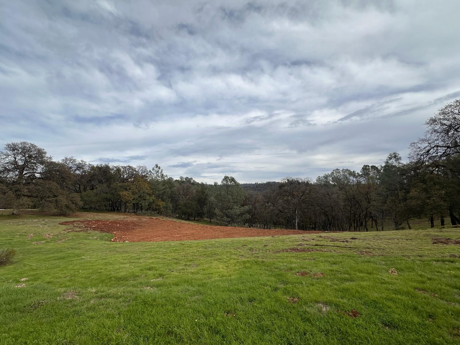 23003 DARKHORSE Drive