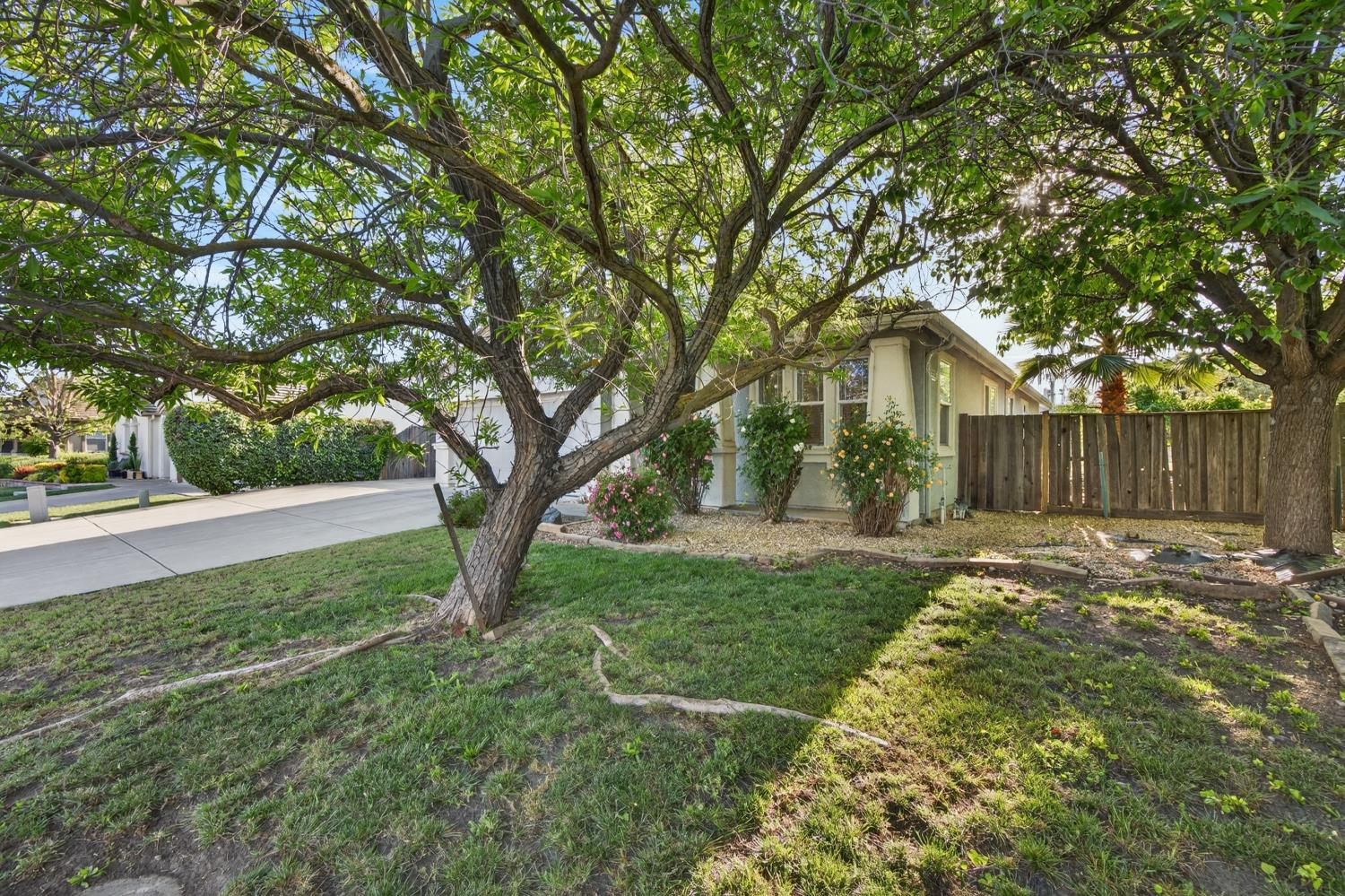 9200 Earl Fife Drive