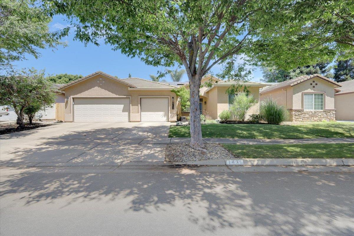 1439 Pabla Court