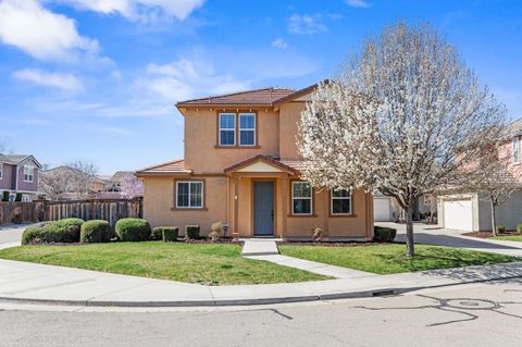 20833 Grapevine Drive, Patterson, CA 95363 - MLS#: 225029000