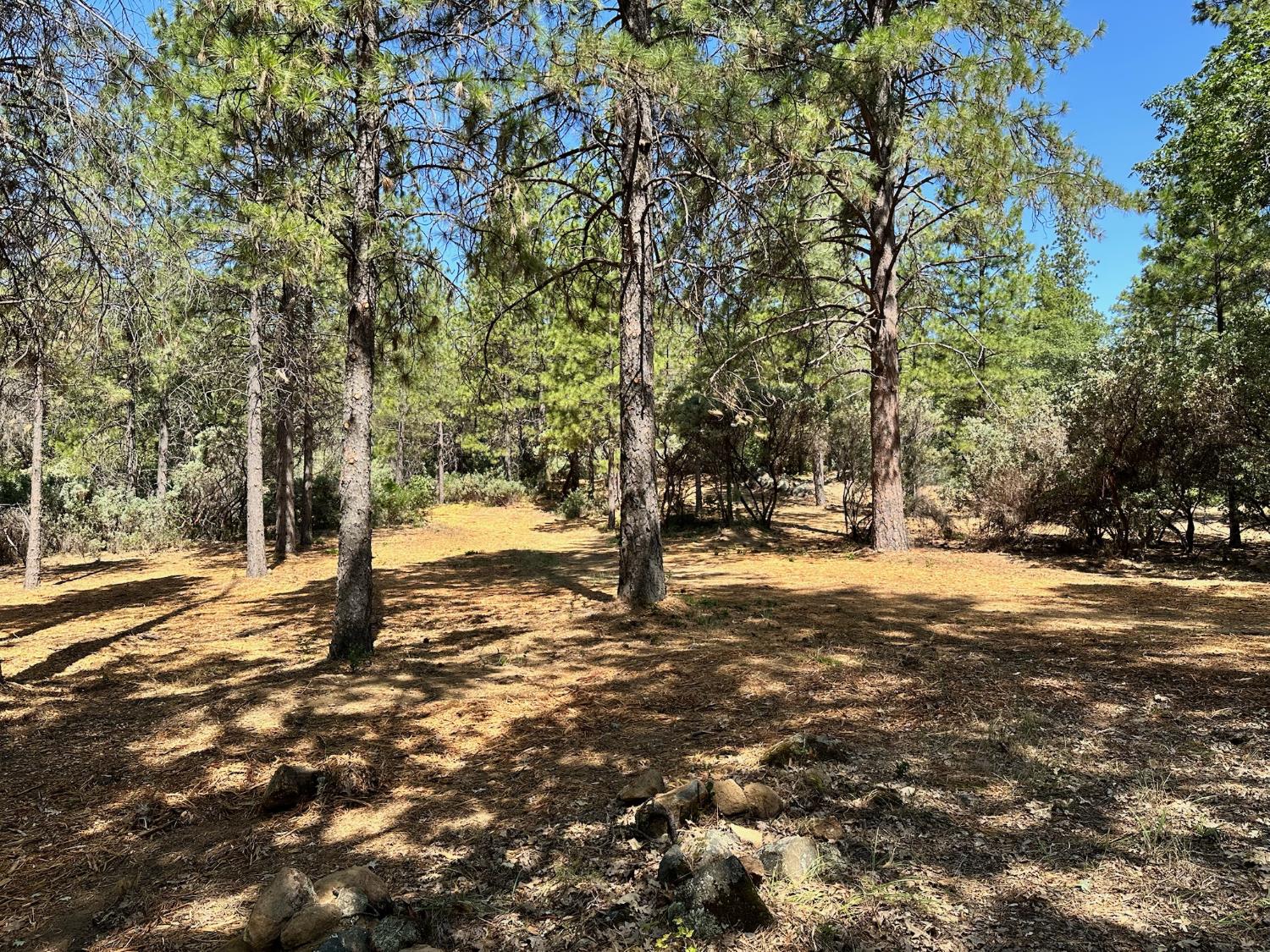 1835 E Summit View Drive