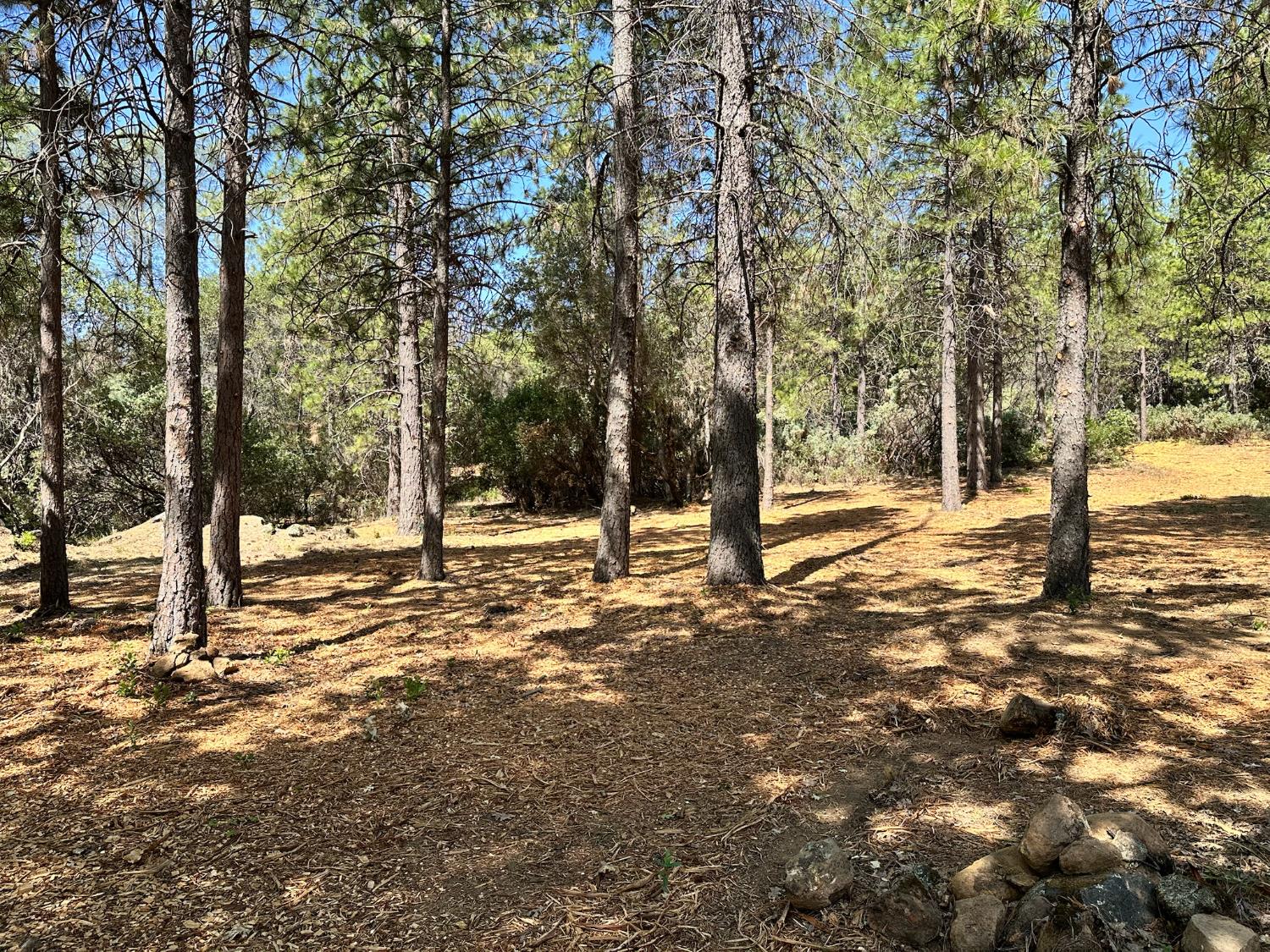 1835 E Summit View Drive