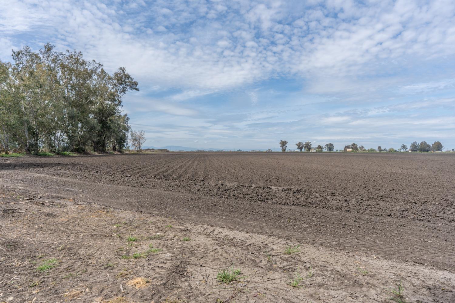 Dos Palos, California 93620, United States, 4 Bedrooms Bedrooms, ,2 BathroomsBathrooms,Residential,Active,61721