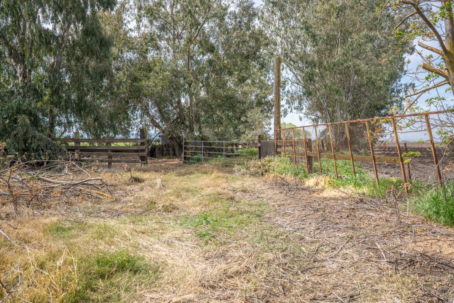 Dos Palos, California 93620, United States, 4 Bedrooms Bedrooms, ,2 BathroomsBathrooms,Residential,Active,61721