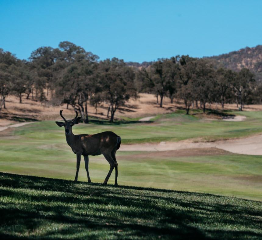 361 361 Hawkridge Drive