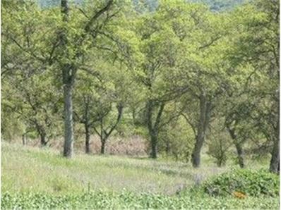 361 361 Hawkridge Drive