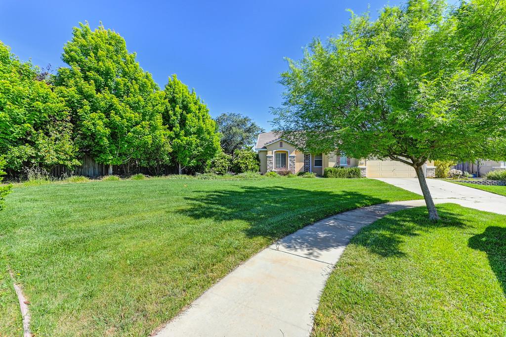 1437 Freeman Court