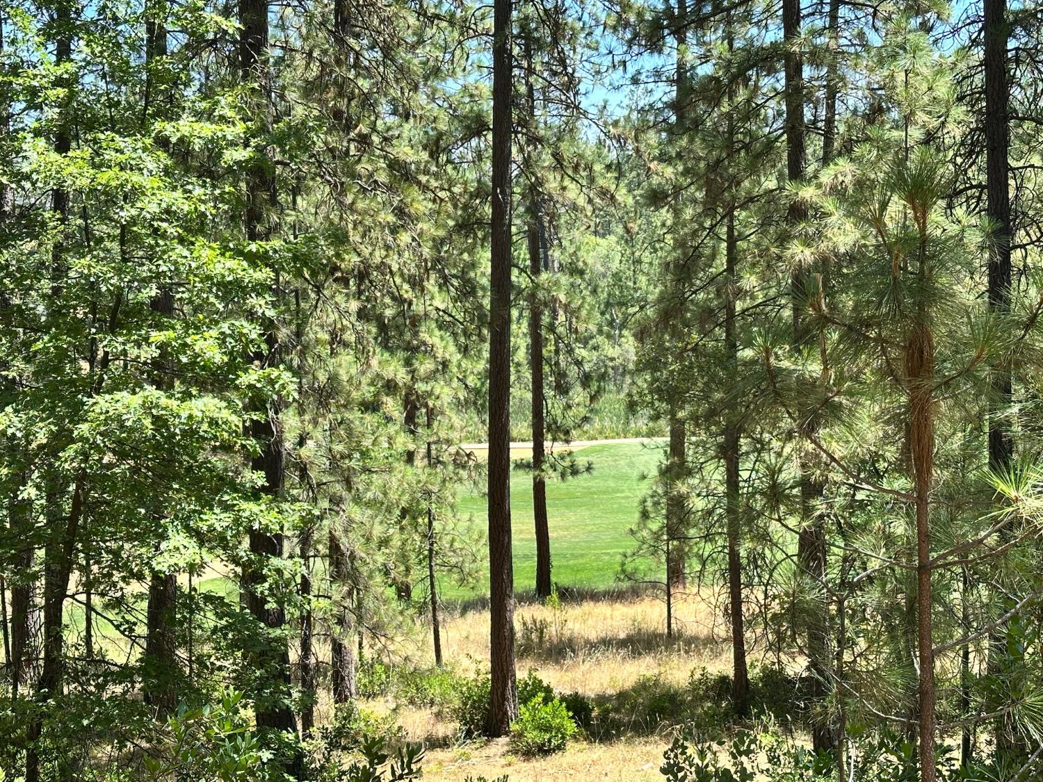 1807 E Summit View Drive