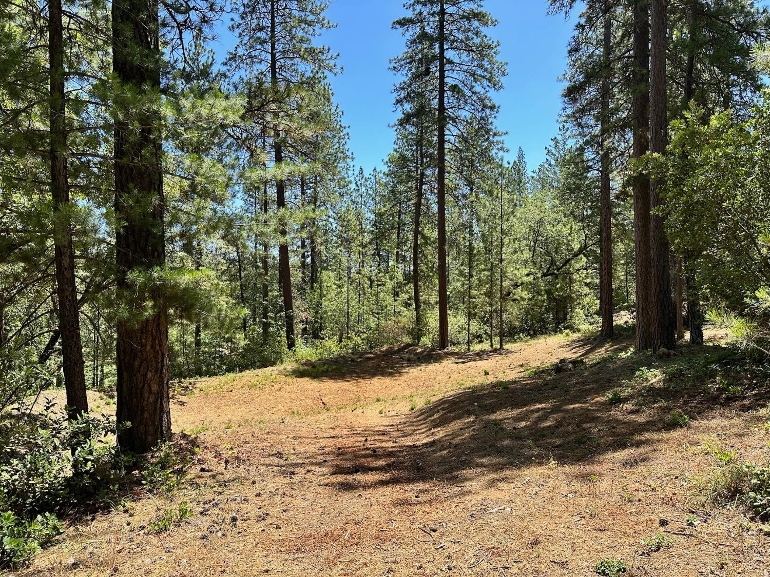 1807 E Summit View Drive