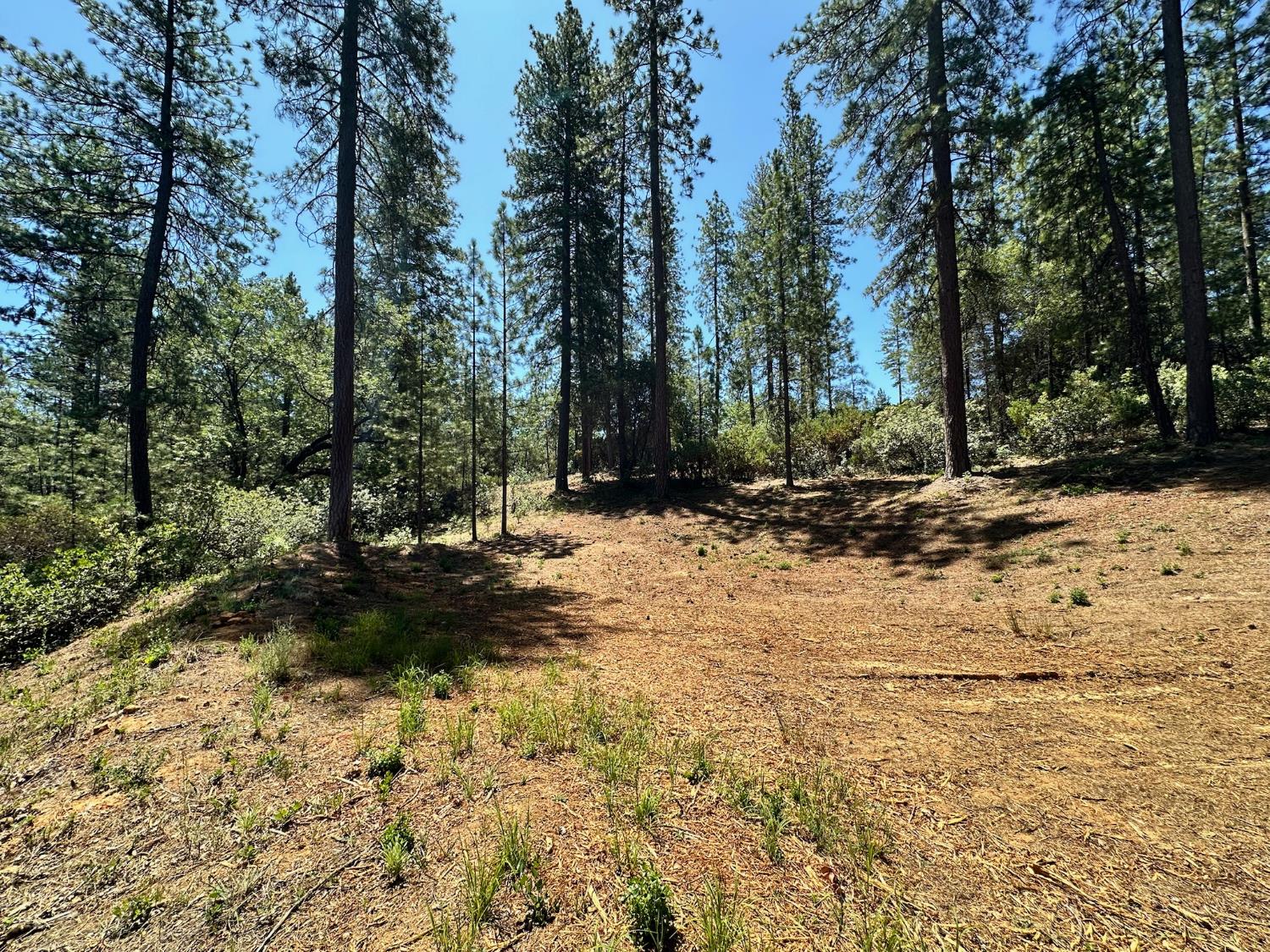 1807 E Summit View Drive