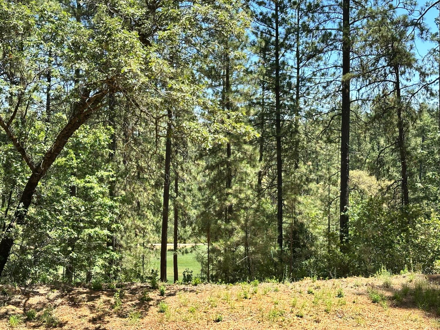 1807 E Summit View Drive