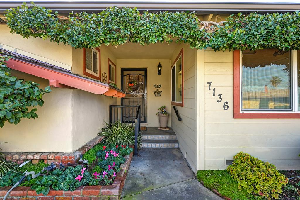 7136 Witchinghour Court