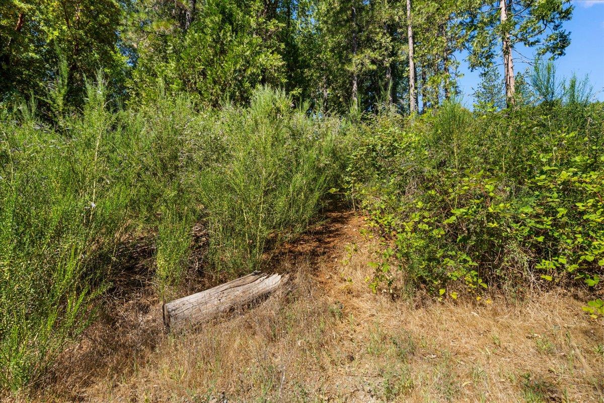 Nevada City, California 95959, United States, ,Land,Active,161745