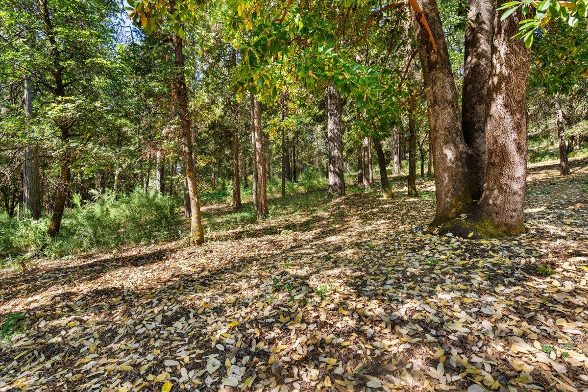 Nevada City, California 95959, United States, ,Land,Active,161745