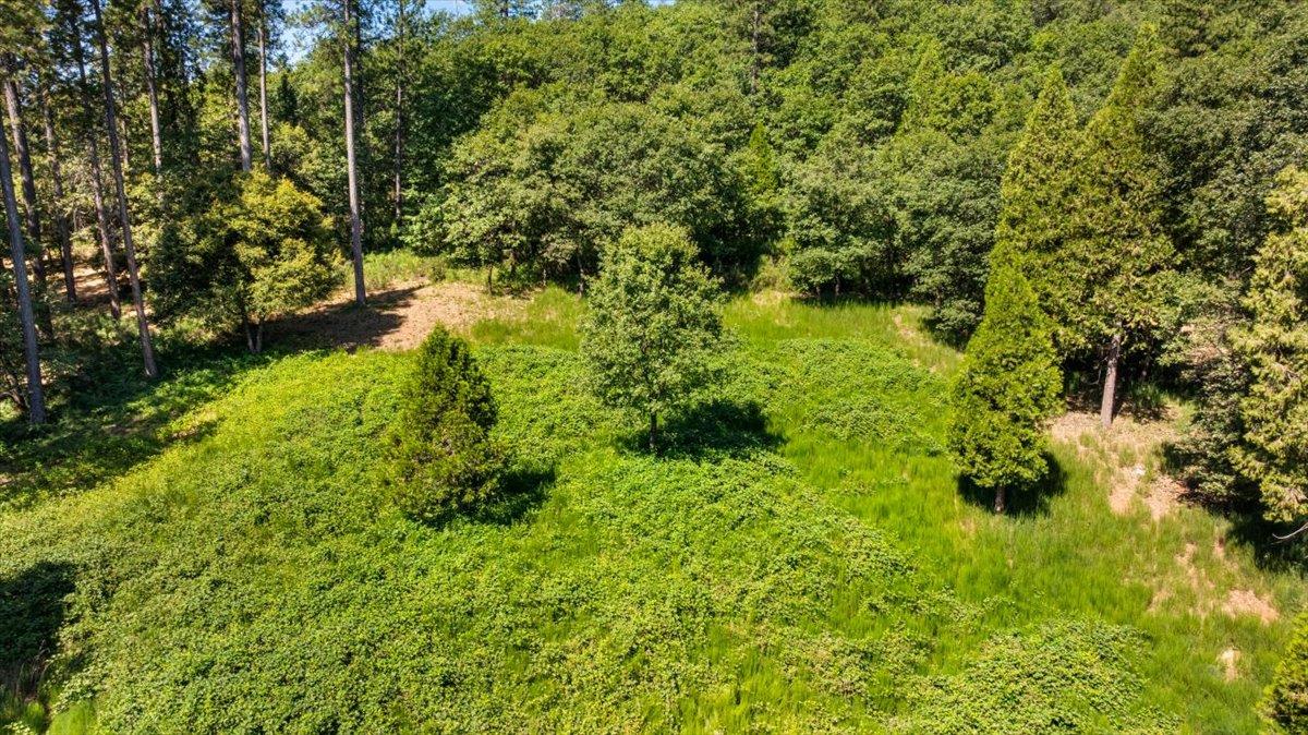 Nevada City, California 95959, United States, ,Land,Active,161745