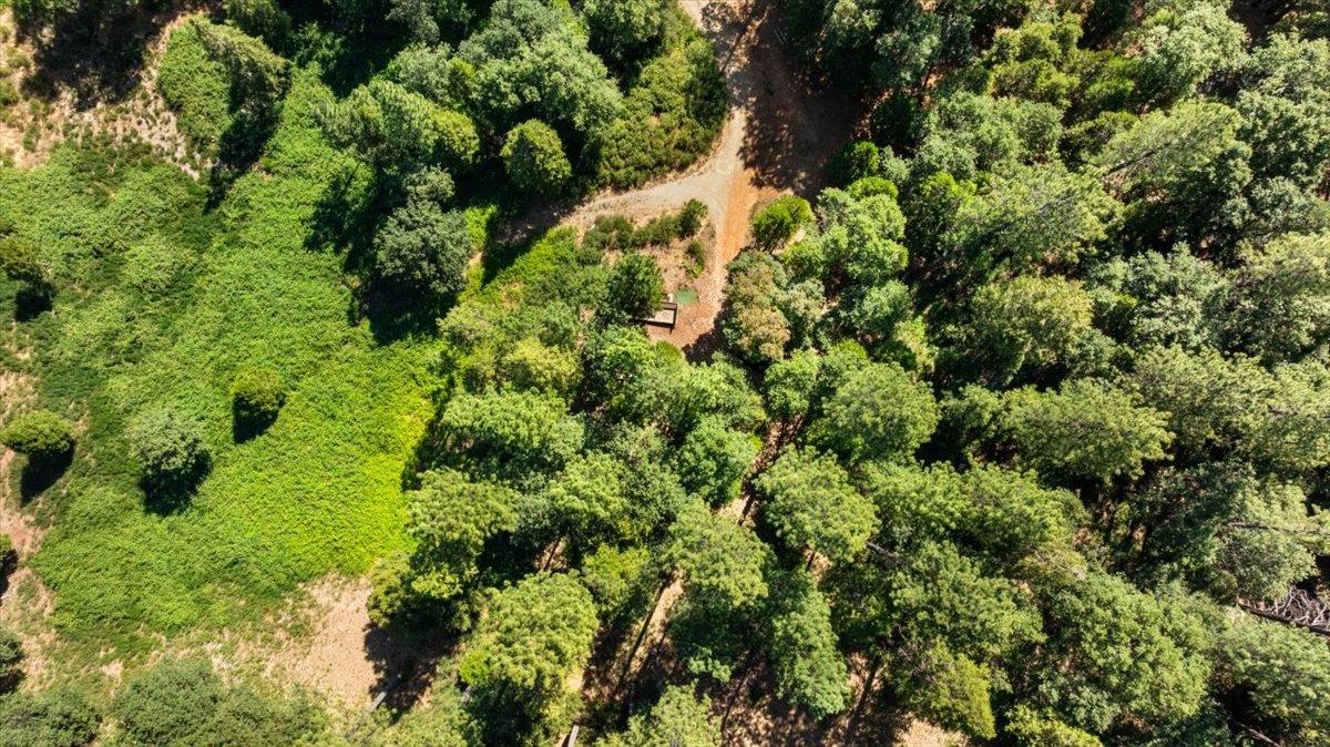 Nevada City, California 95959, United States, ,Land,Active,161745