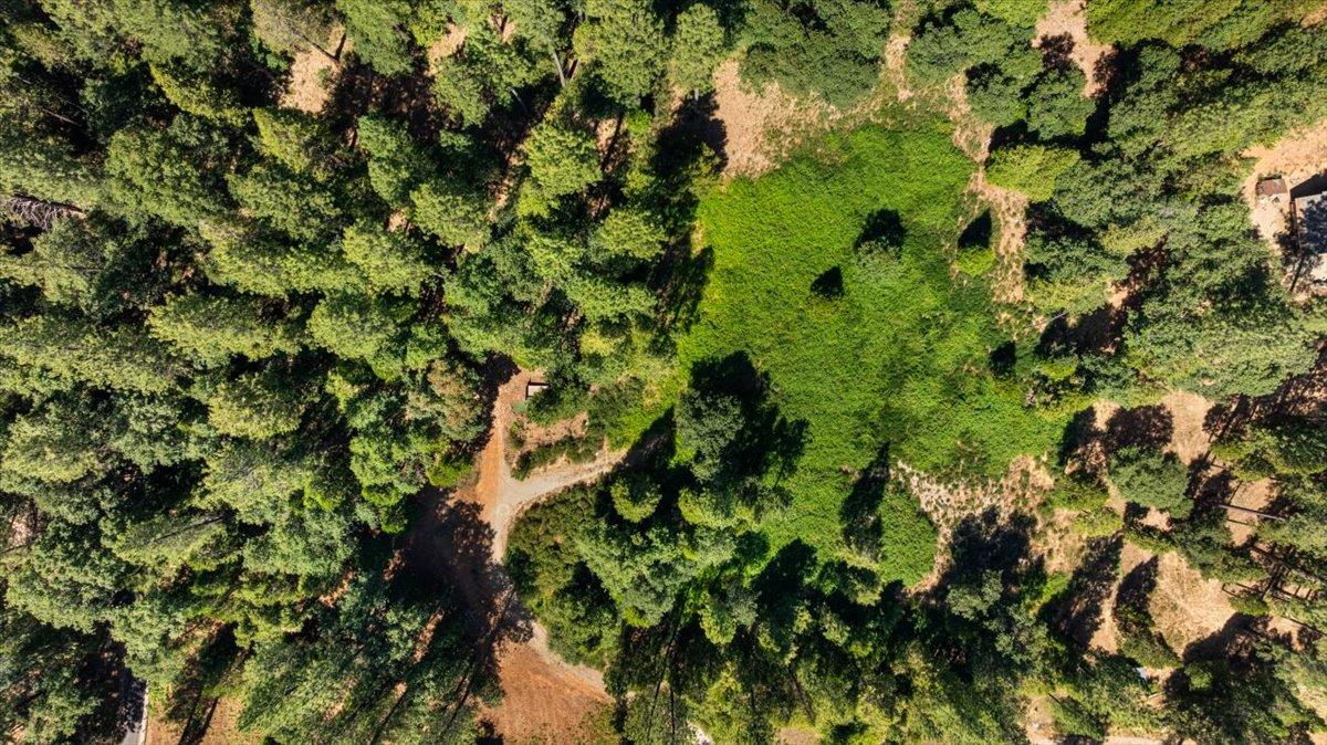 Nevada City, California 95959, United States, ,Land,Active,161745