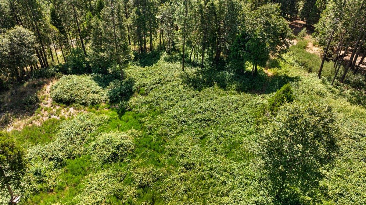 Nevada City, California 95959, United States, ,Land,Active,161745