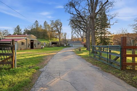 1600 Hidden Circle Shingle Springs CA 95682