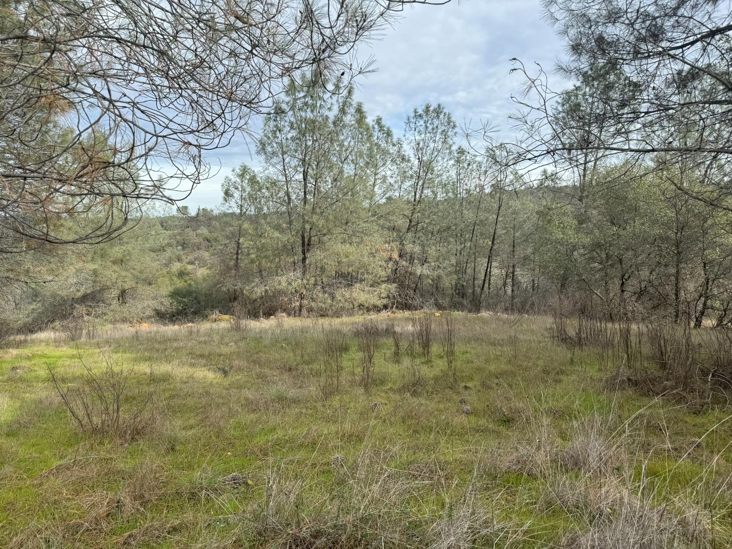 10600 Wild Turkey Lane