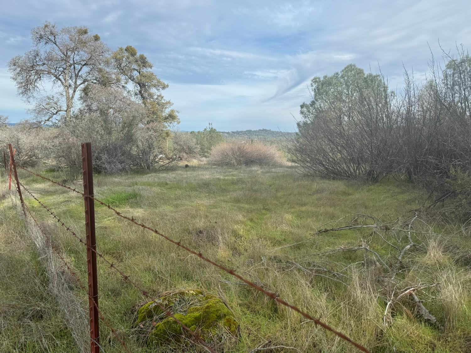 10600 Wild Turkey Lane