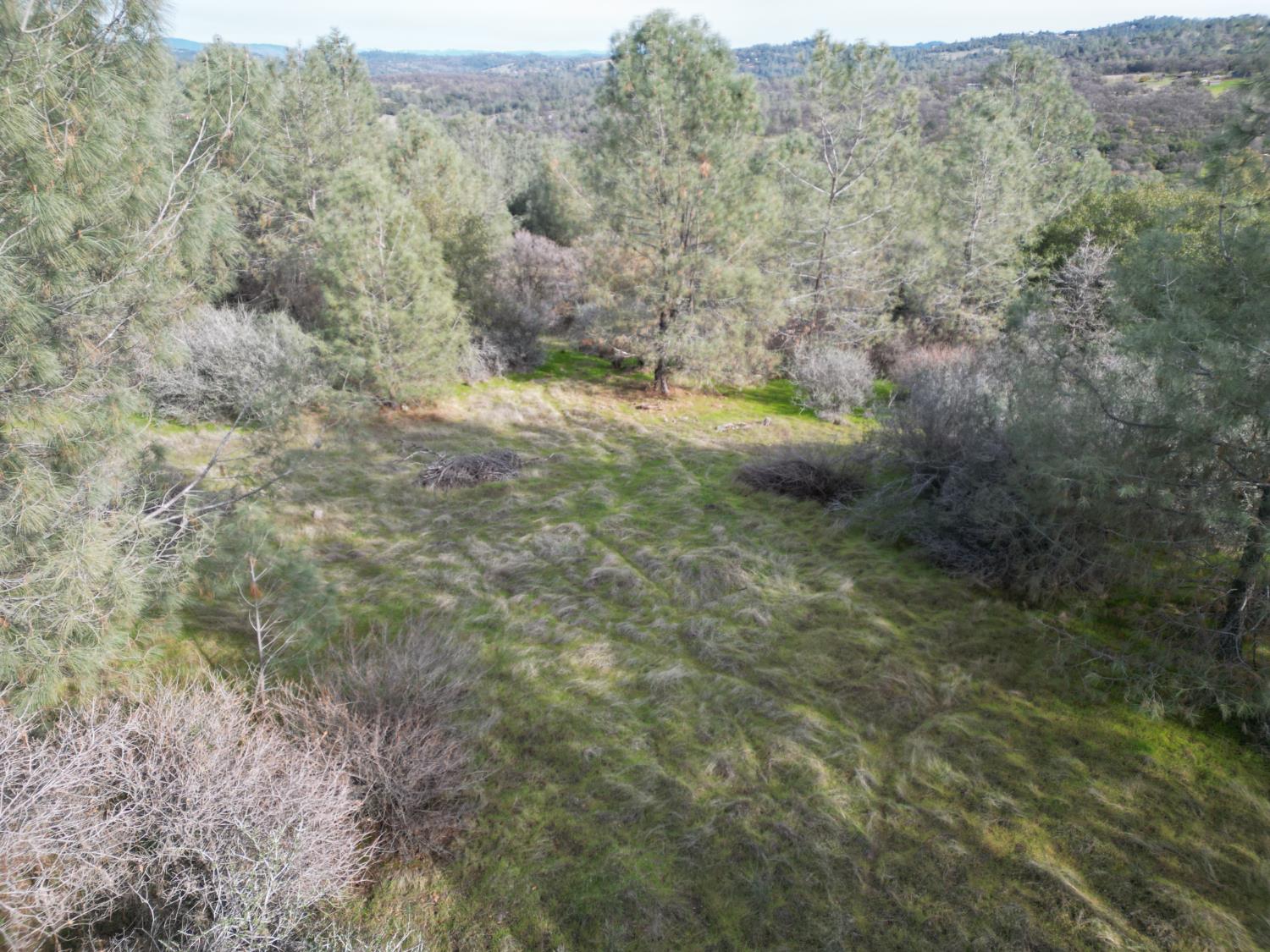 10600 Wild Turkey Lane