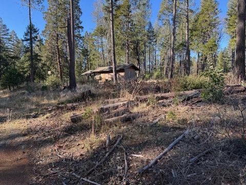 MLS: 224152829
