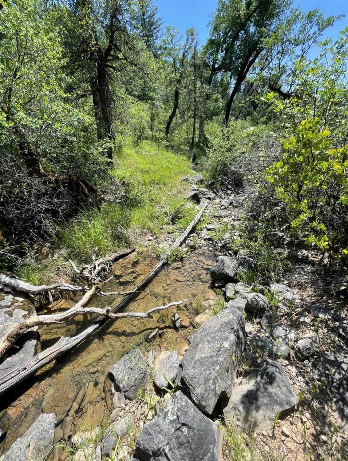 0 Montgomery Creek Falls Road