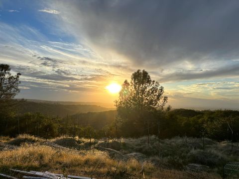MLS: 225012524