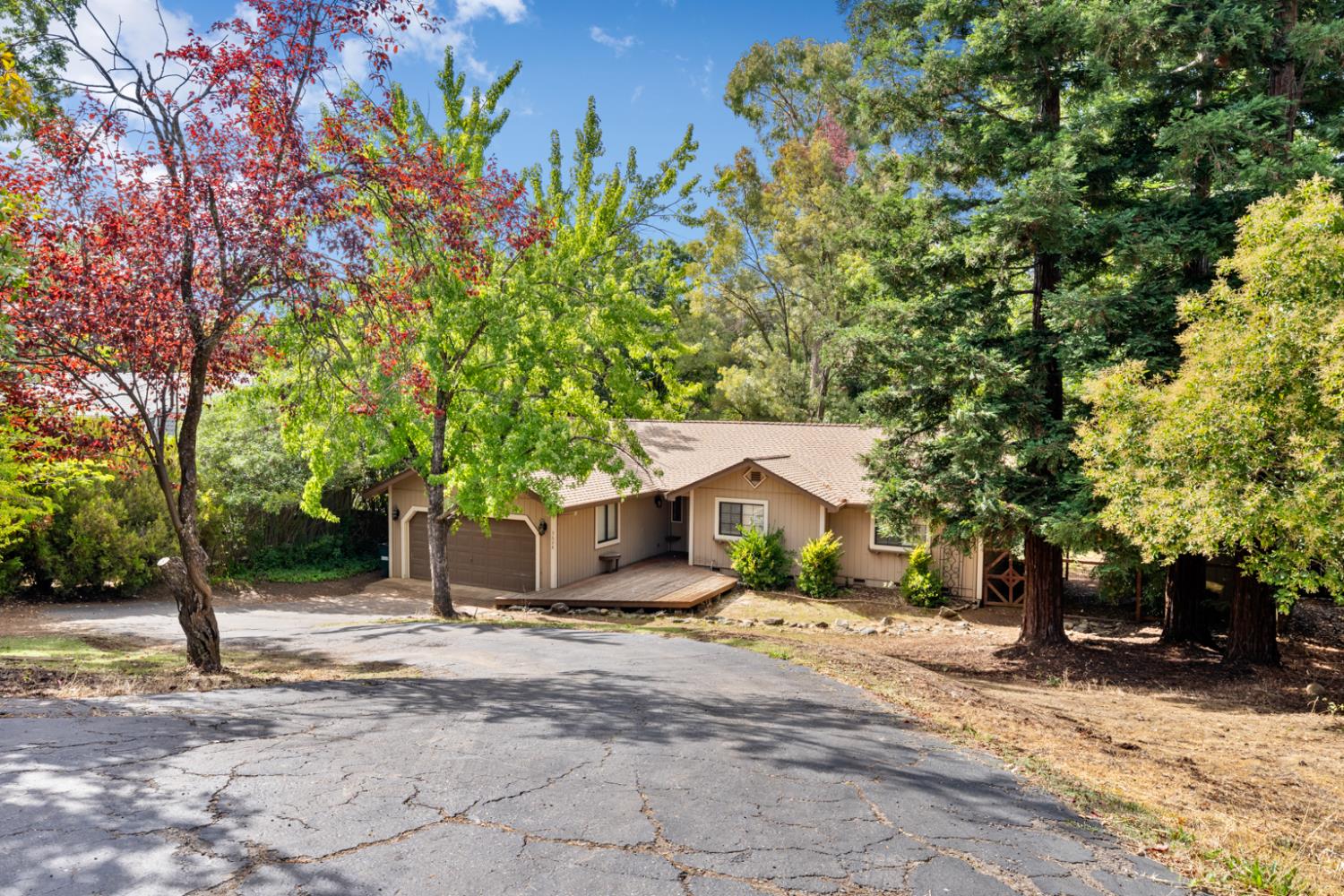 3628 Chelsea Road