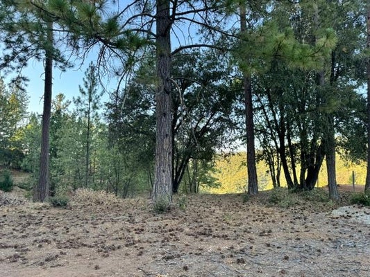 5927 BLACK QUARTZ RD, MURPHYS, CA 95247 - Image ff5e4b08b1b46f32eee2ee0e345de552/2244782296