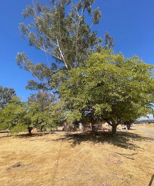 9799 Scenic Valley Road