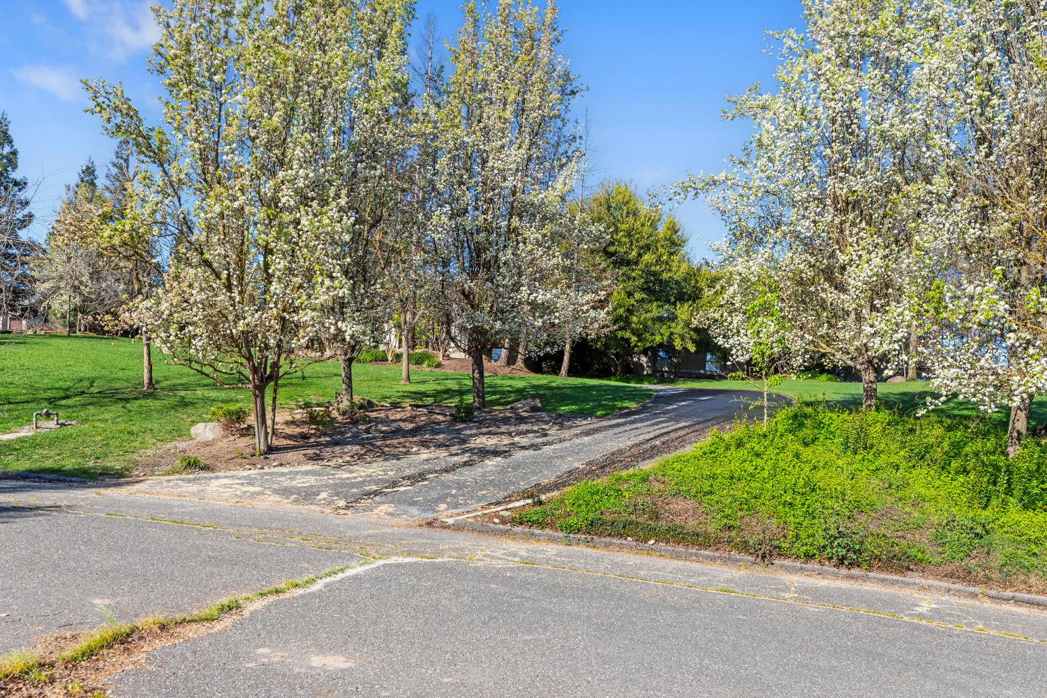 8519 Oak Creek Court