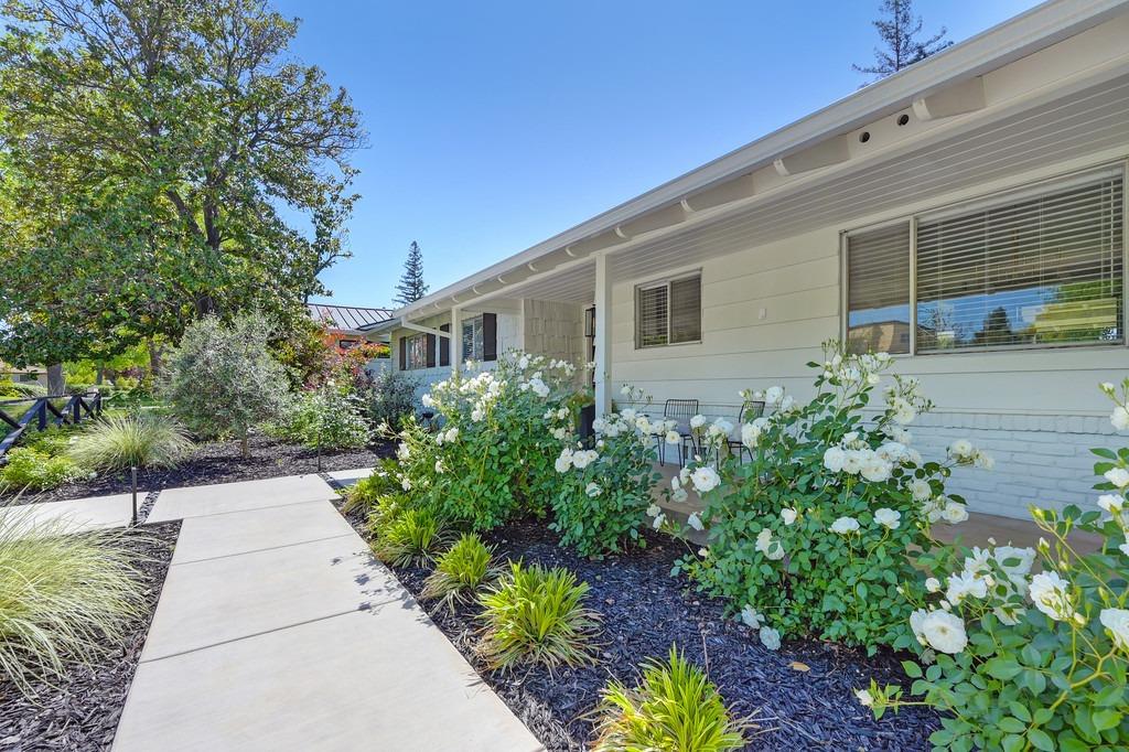 431 Larch Lane