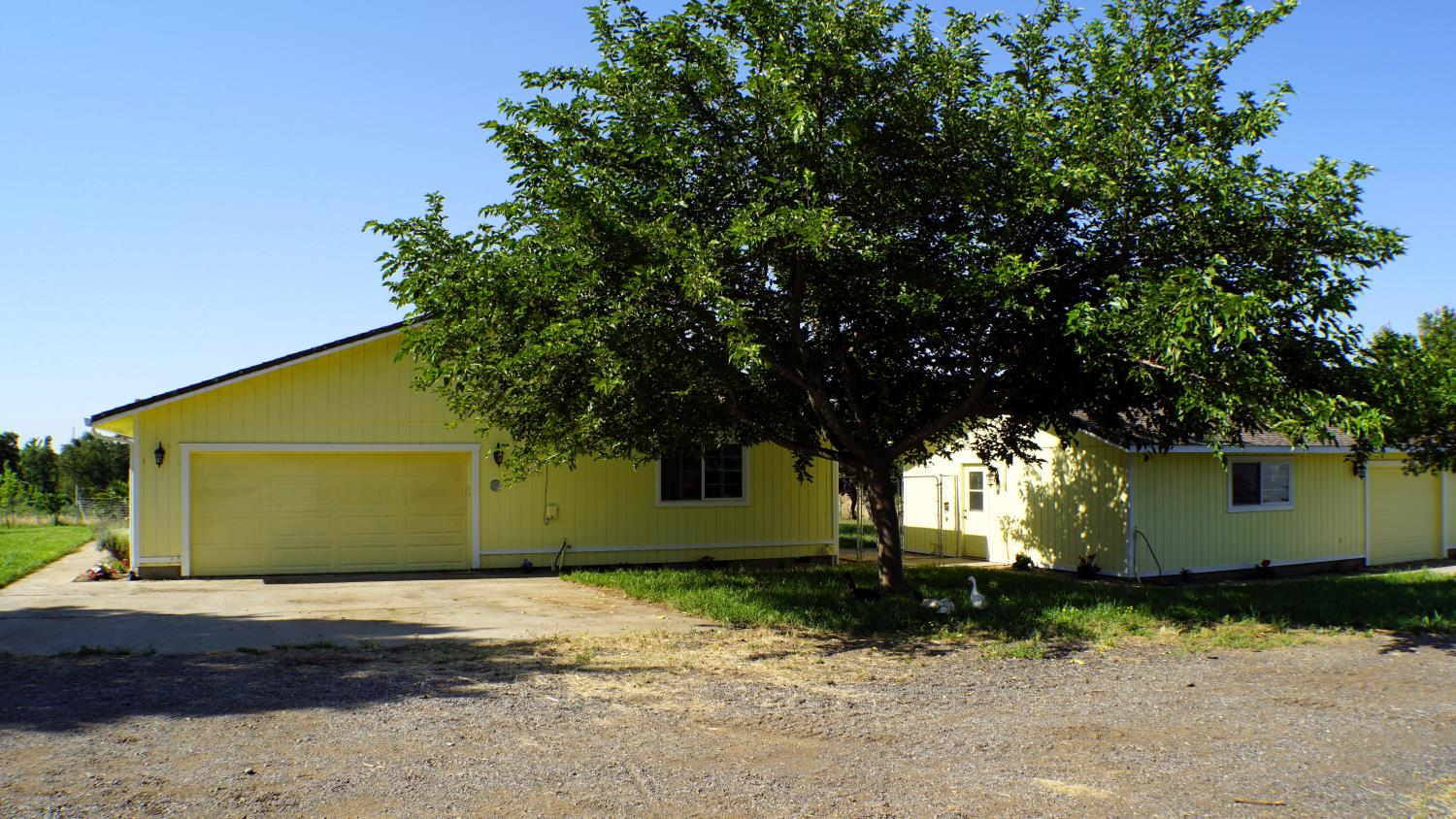 12156 Scott Grant Road