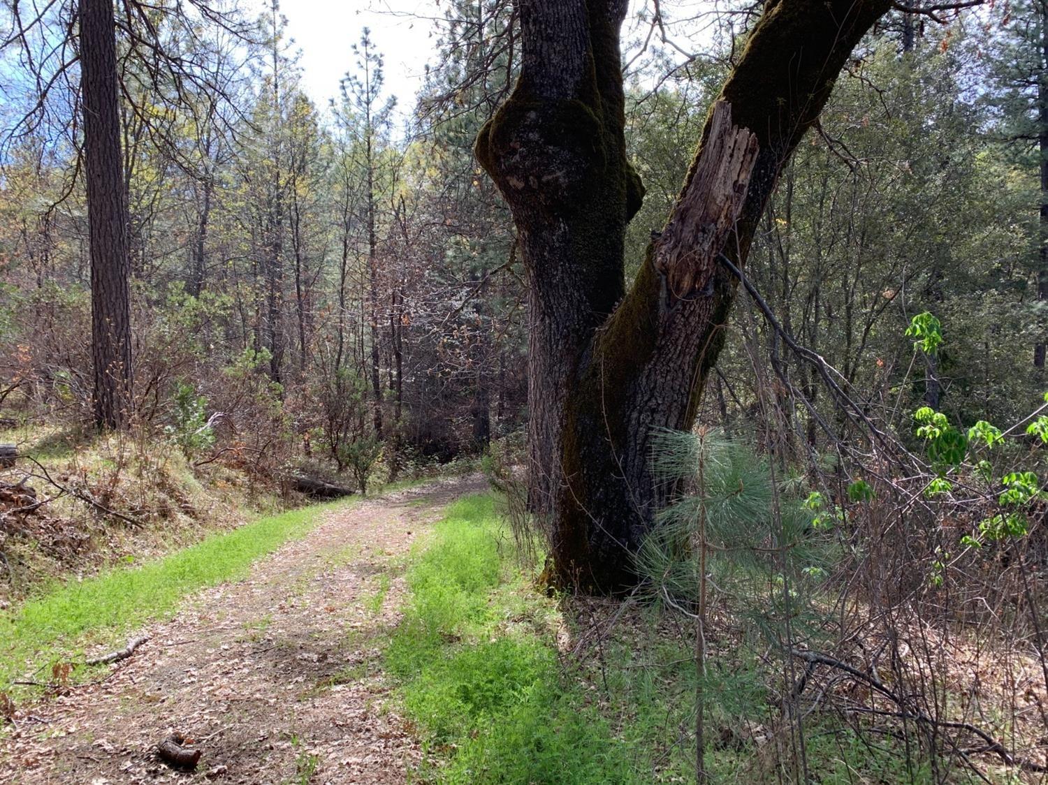 0 Old Schoolhouse Road