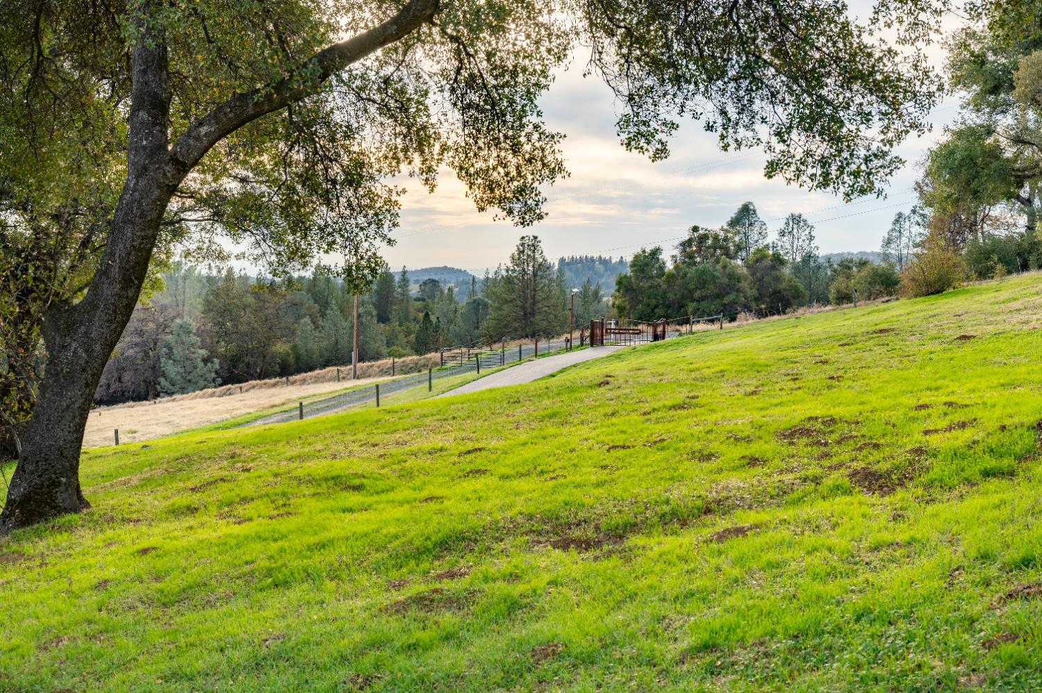 16000 Southridge Road