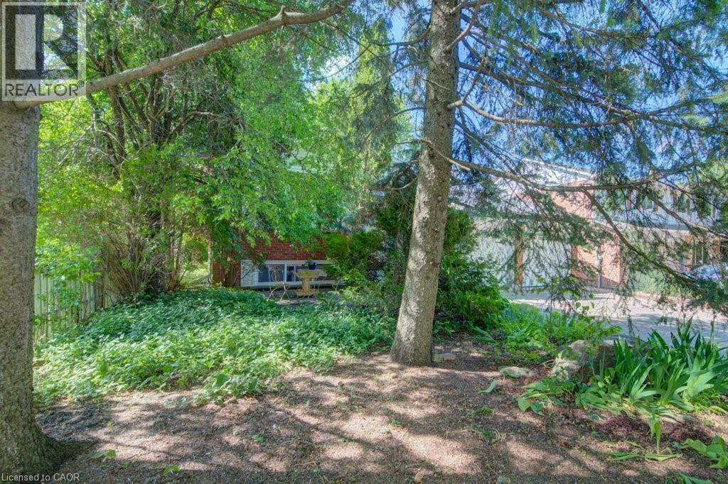 60 MAYFIELD Avenue