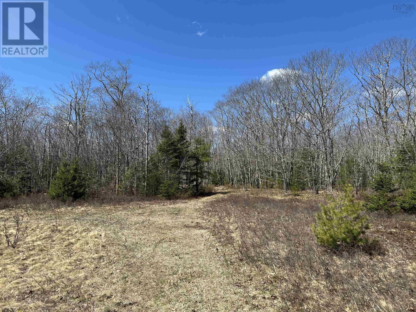5324 Highway 3 - Photo 4