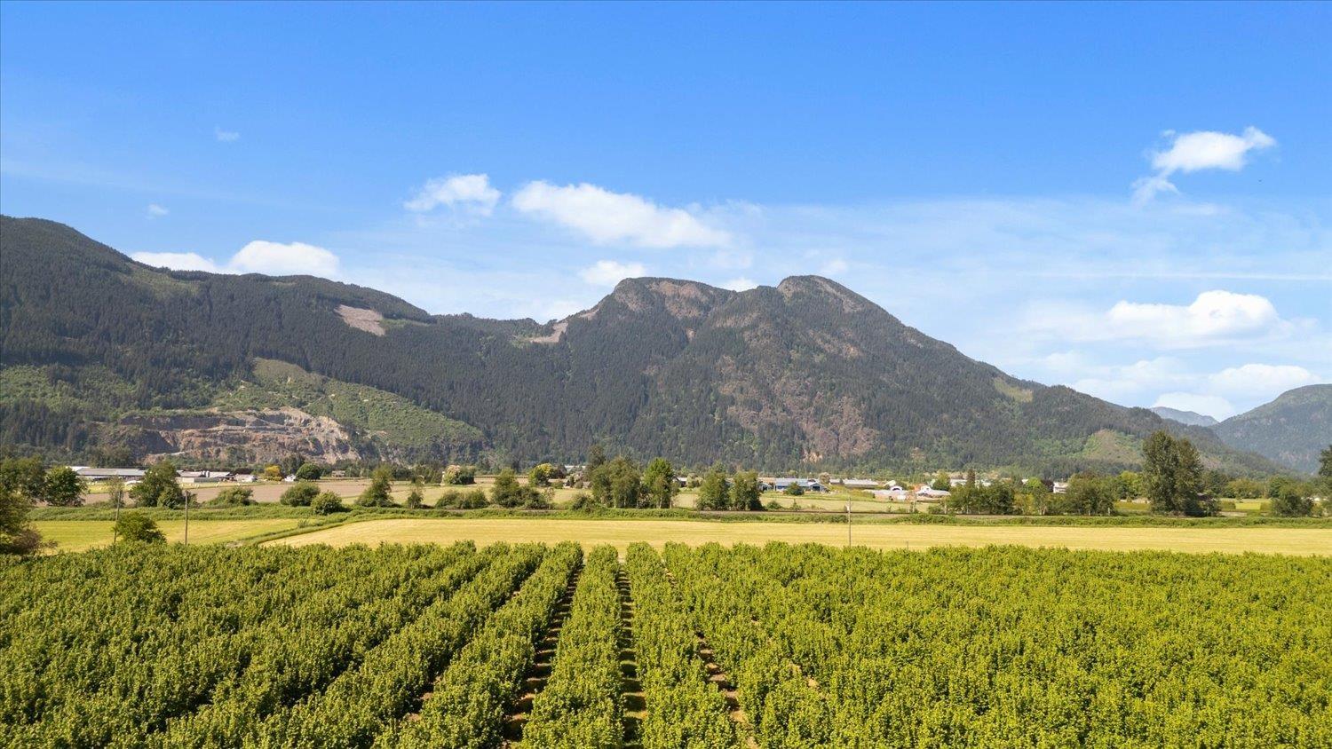 4602 HUNT ROAD|Agassiz