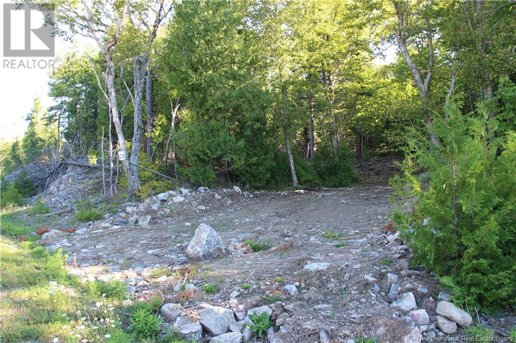 00 Shoreline Drive - Photo 4