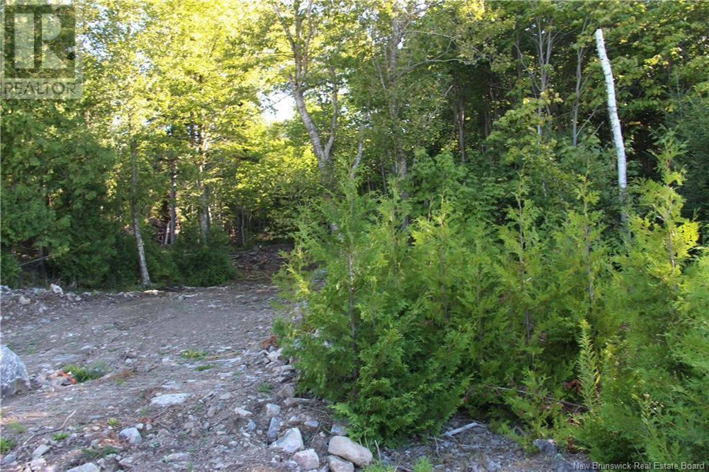 00 Shoreline Drive - Photo 3