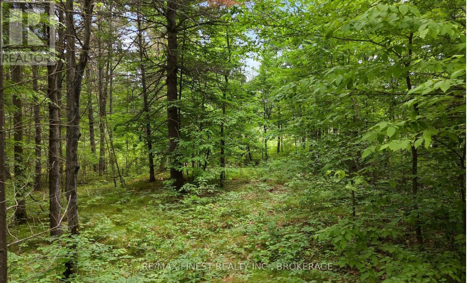 Photo 1 of 2 — LOT 16 ECHO LAKE ROAD, Frontenac (Frontenac Centre), ON K0H2K0