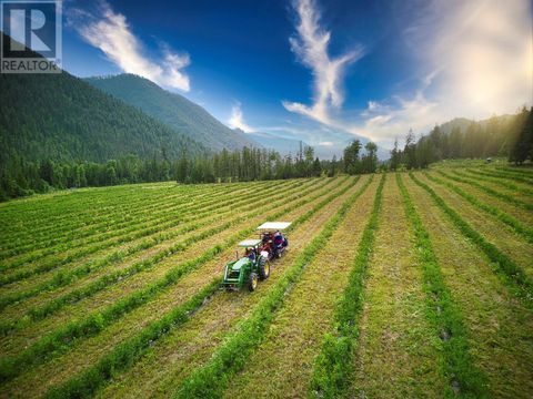 1238 Creighton Valley Road Lumby BC V0E2G1
