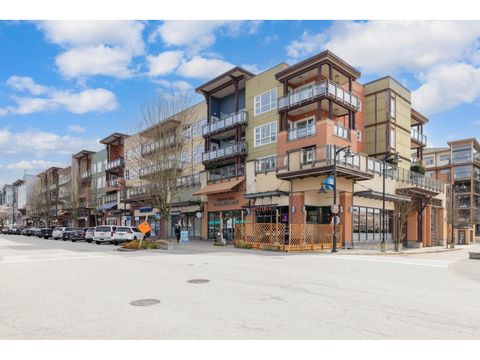 316 20728 WILLOUGHBY TOWN CENTRE DRIVE Langley BC V2Y0P3