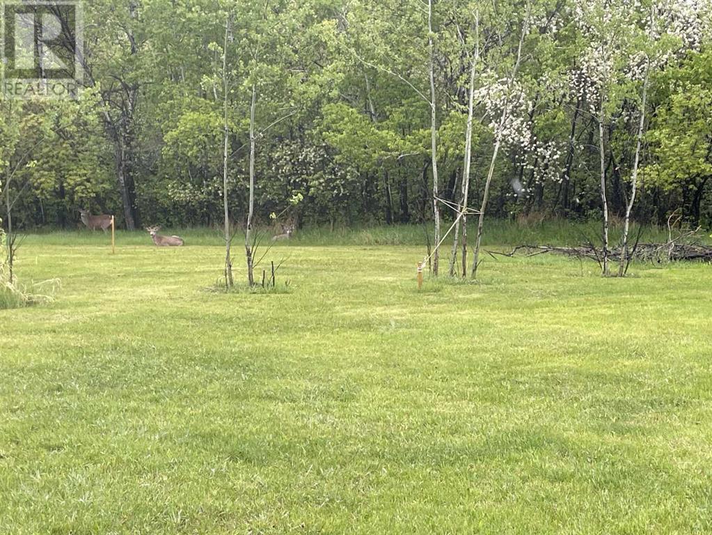 LOT 27, 38349 Range Rd 270