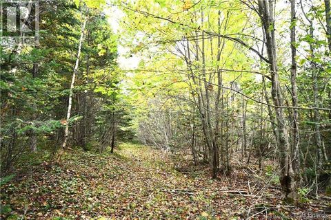 155 Hutchins Heights Road Welshpool NB E5E1H2