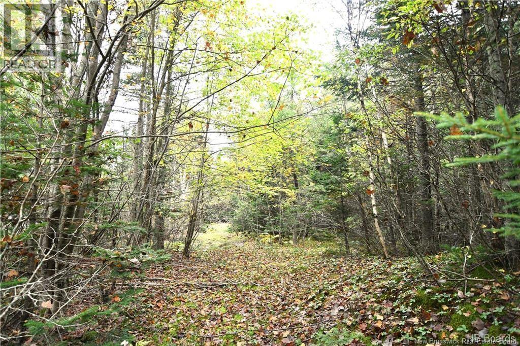 155 Hutchins Heights Road