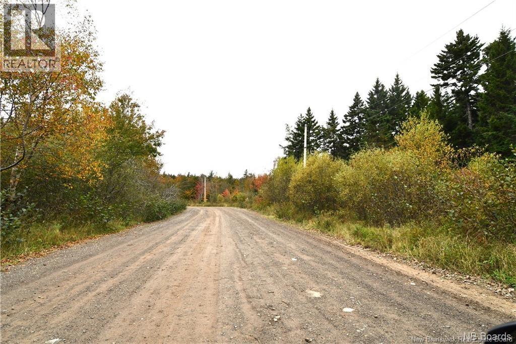 155 Hutchins Heights Road